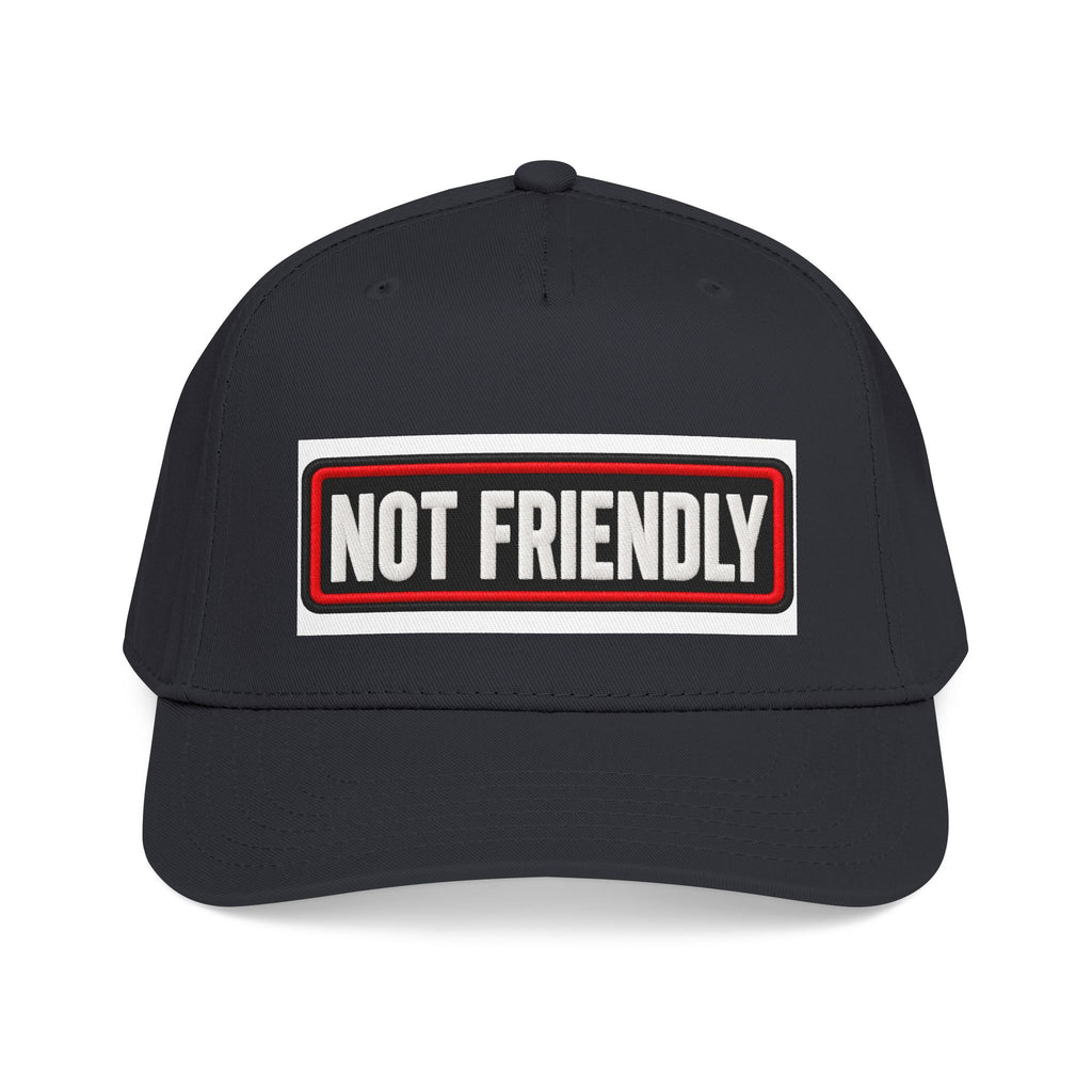 Not Friendly - Service Dog Patch - OTTO Baseball Hat