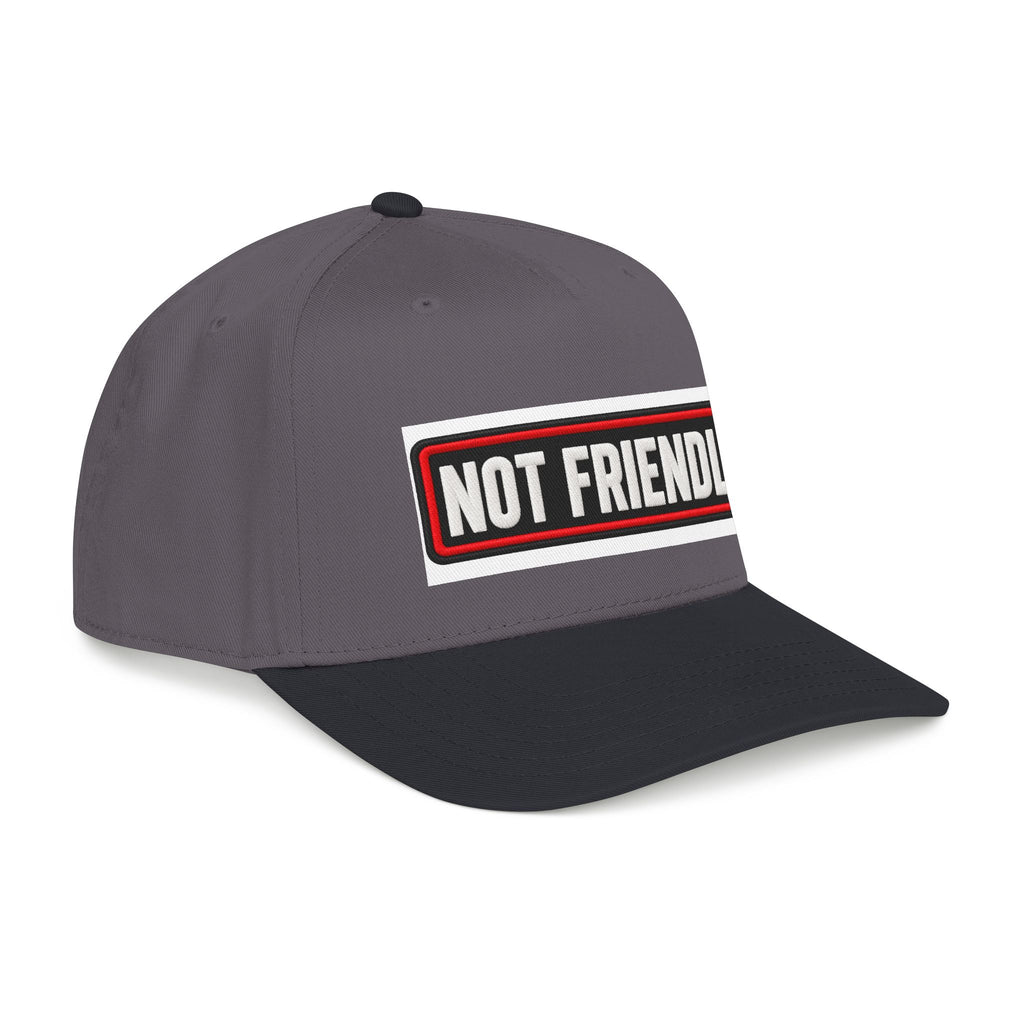 Not Friendly - Service Dog Patch - OTTO Baseball Hat