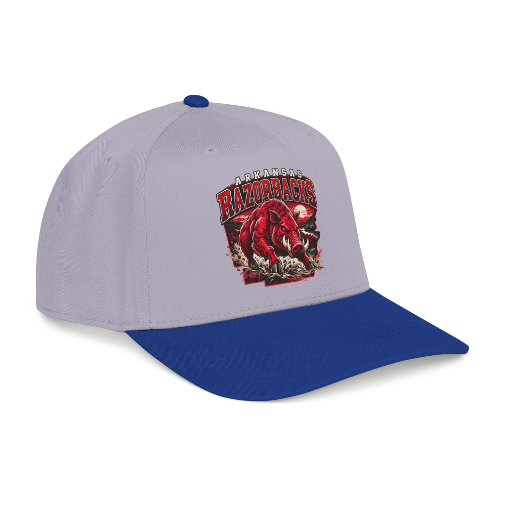 Arkansas Razorbacks State Pride - OTTO Baseball Hat