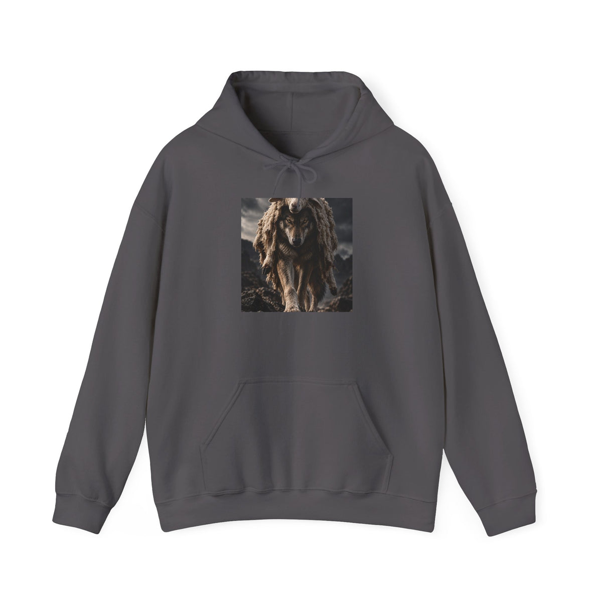 Wolf in Sheep's Clothing - Hoodie