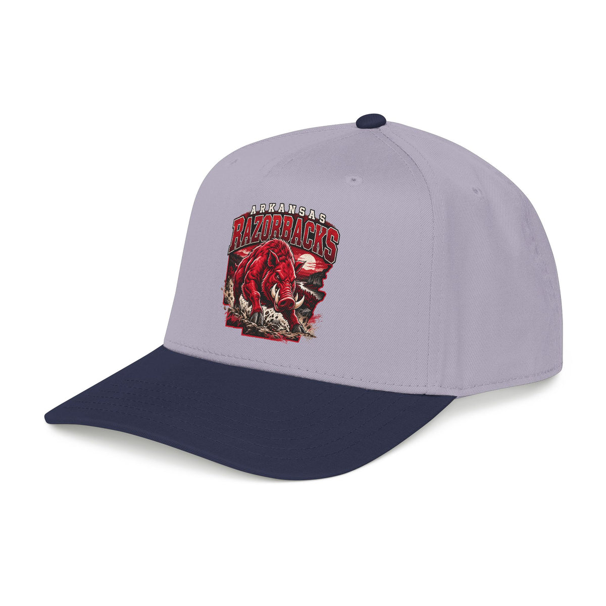 Arkansas Razorbacks State Pride - OTTO Baseball Hat