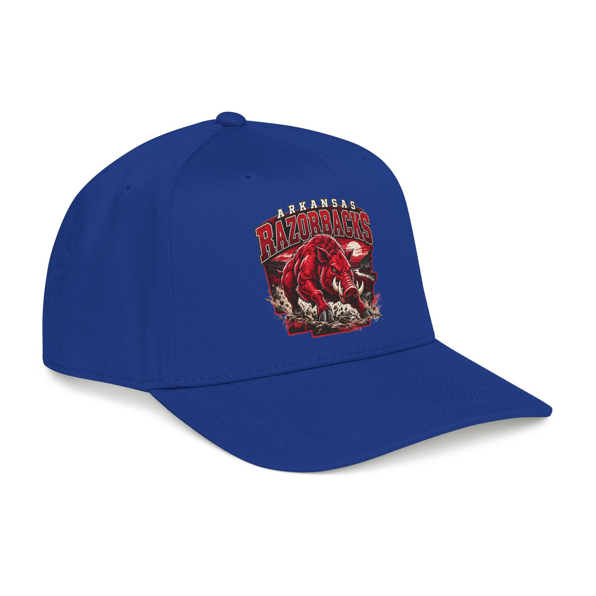 Arkansas Razorbacks State Pride - OTTO Baseball Hat