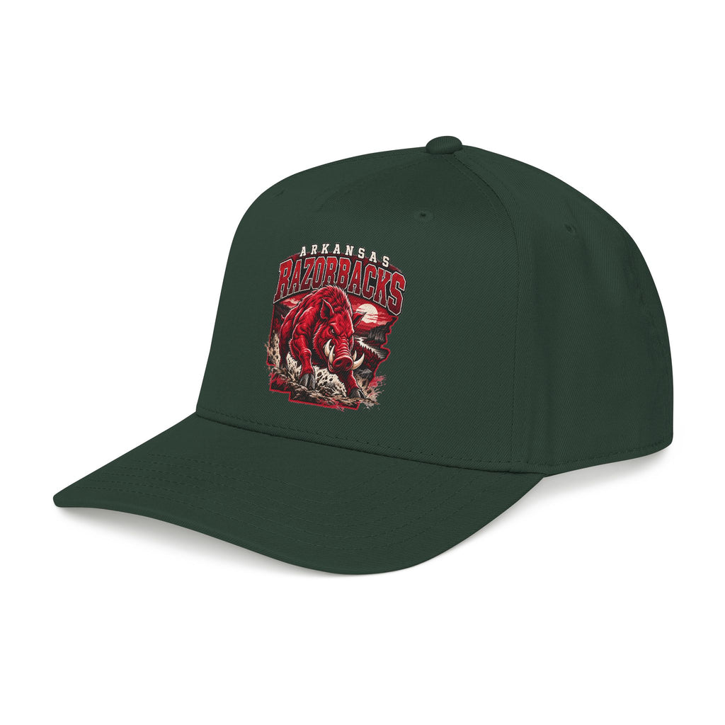 Arkansas Razorbacks State Pride - OTTO Baseball Hat