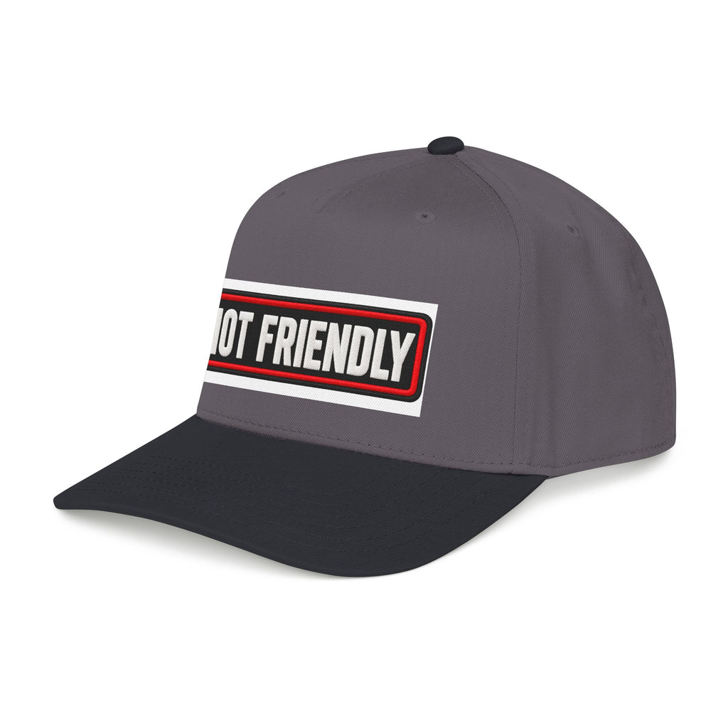 Not Friendly - Service Dog Patch - OTTO Baseball Hat