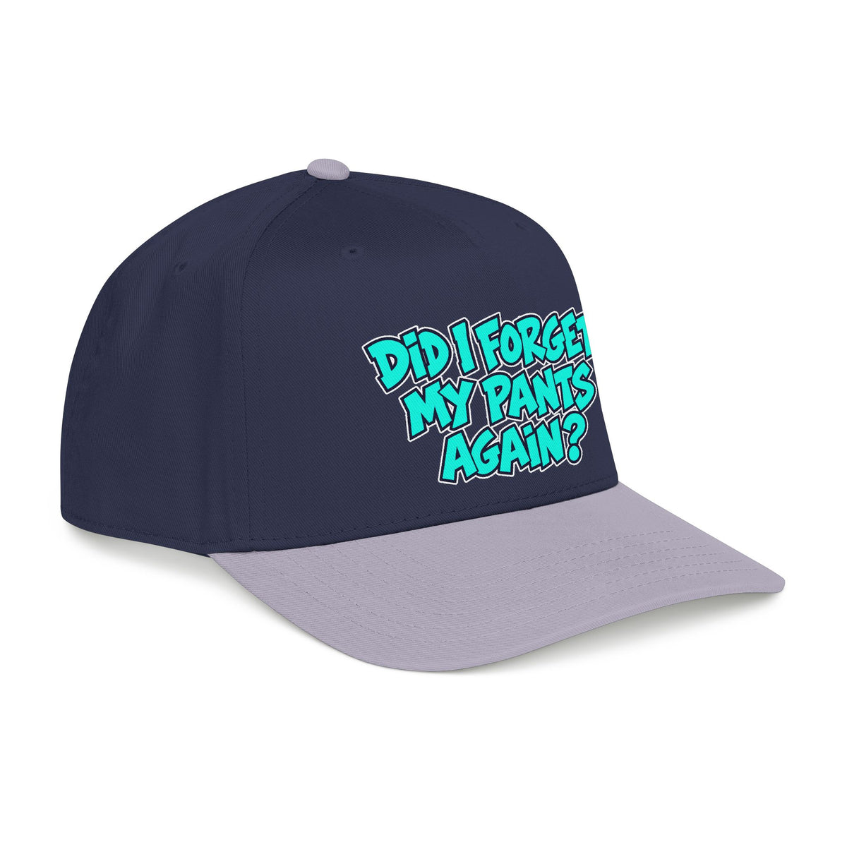 Did I Forget My Pants Again - OTTO Baseball Hat