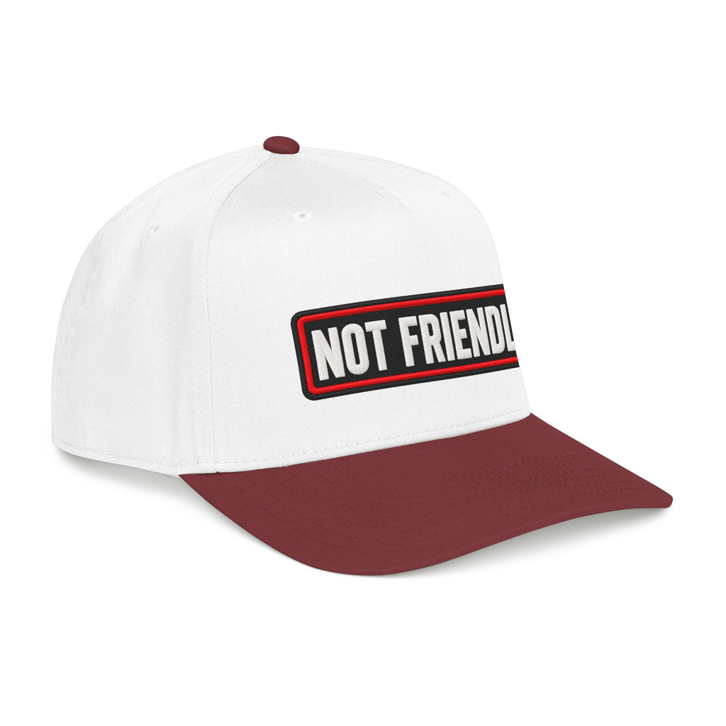 Not Friendly - Service Dog Patch - OTTO Baseball Hat