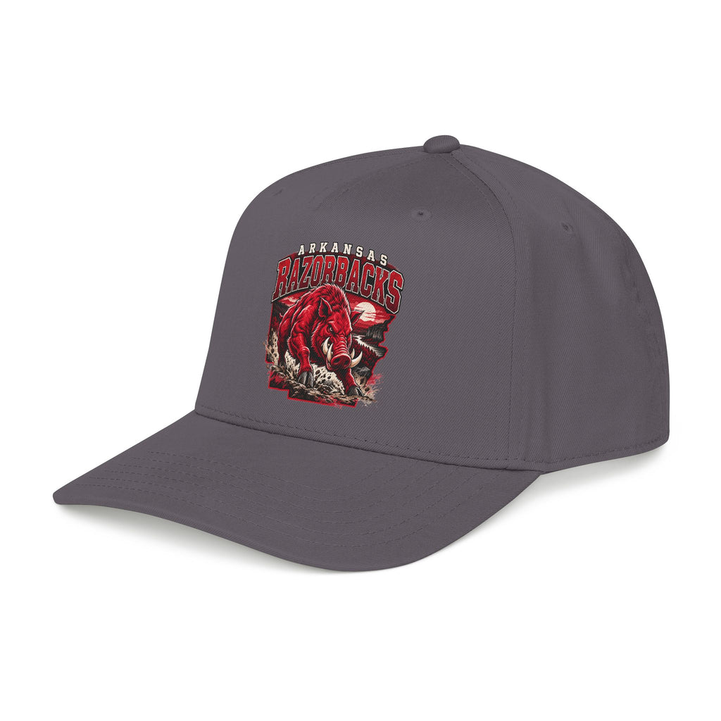 Arkansas Razorbacks State Pride - OTTO Baseball Hat
