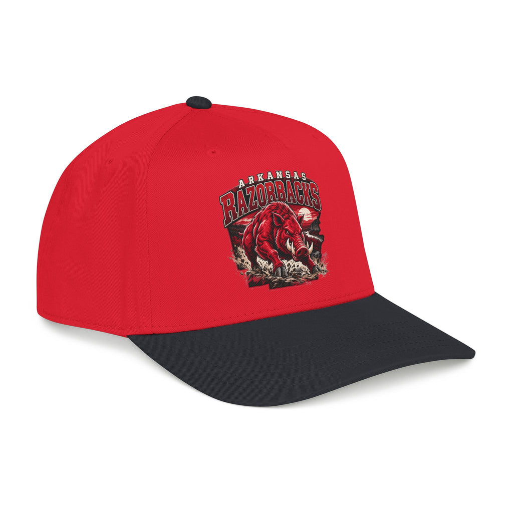 Arkansas Razorbacks State Pride - OTTO Baseball Hat