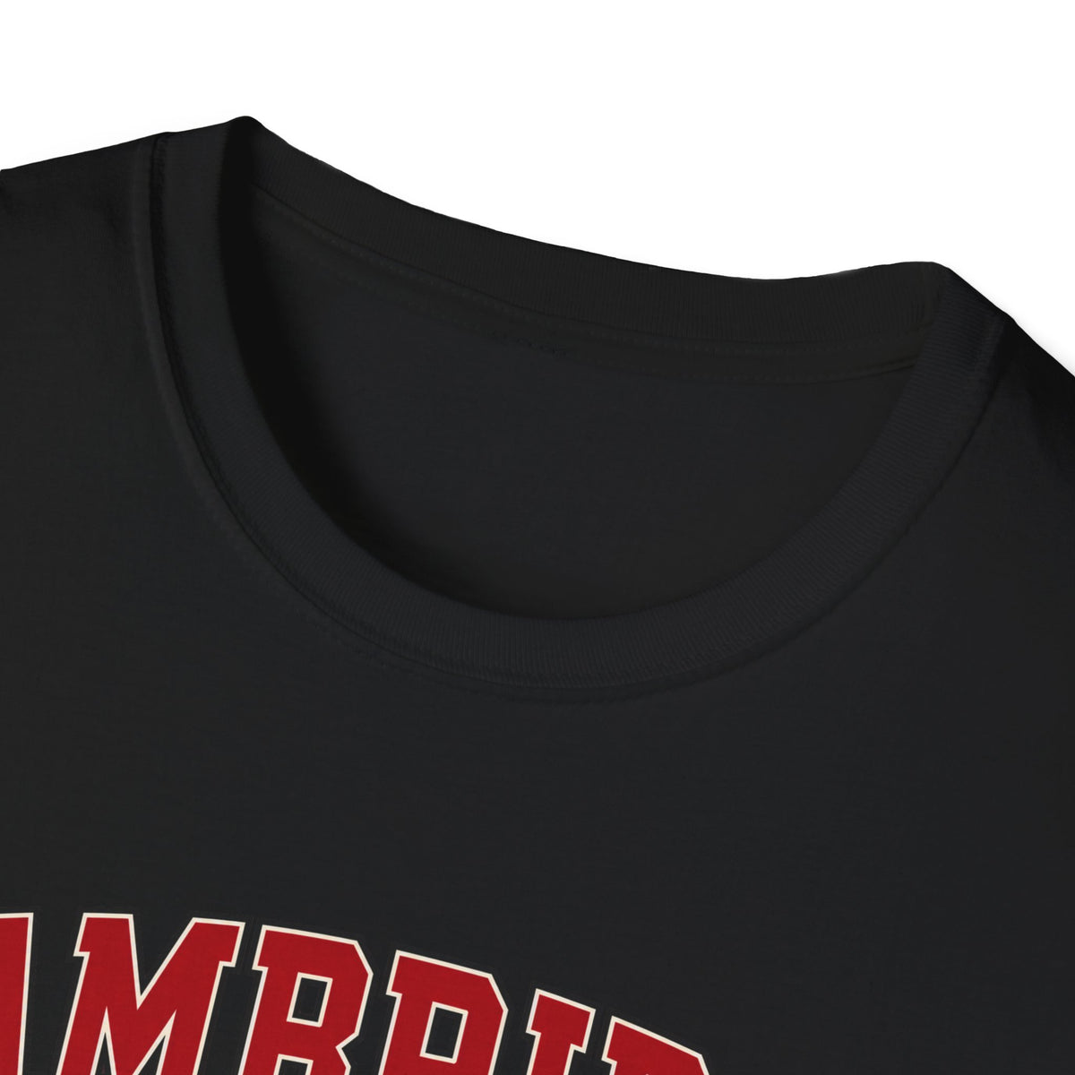 Cambridge Community College - Classic Tee