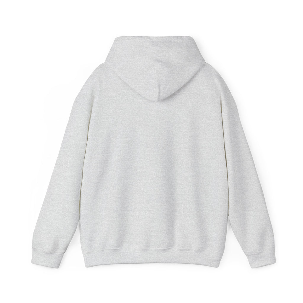 U.S. Air Force Emblem - Hoodie