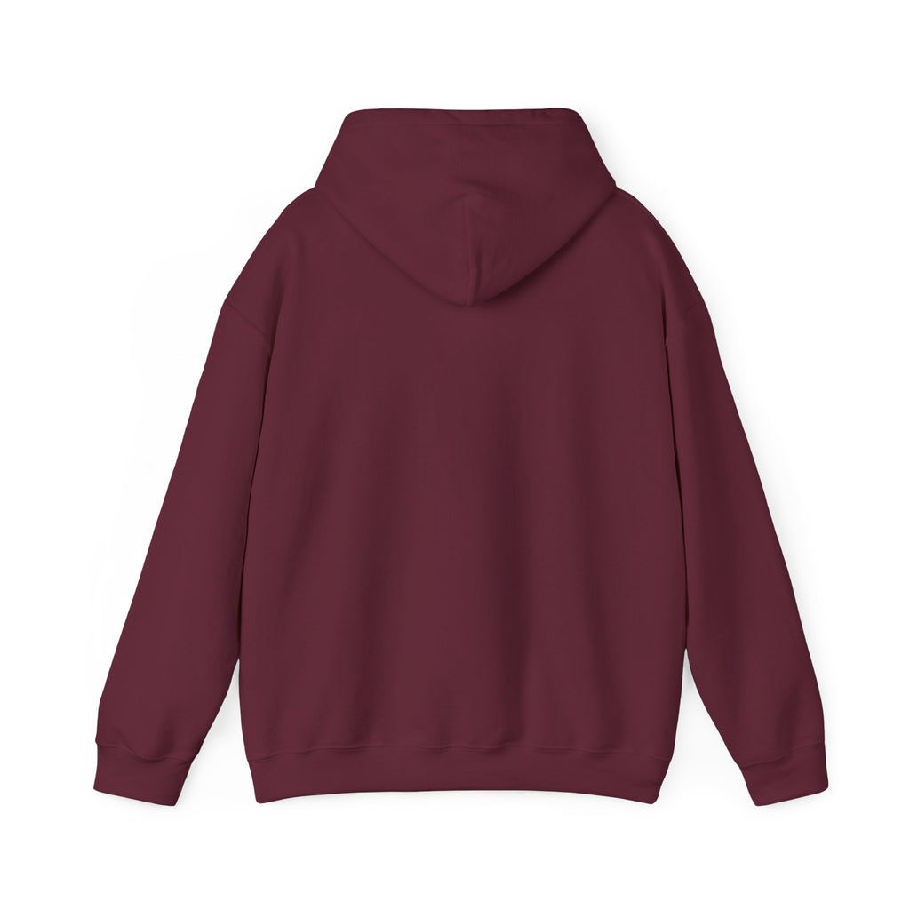 U.S. Air Force Emblem - Hoodie