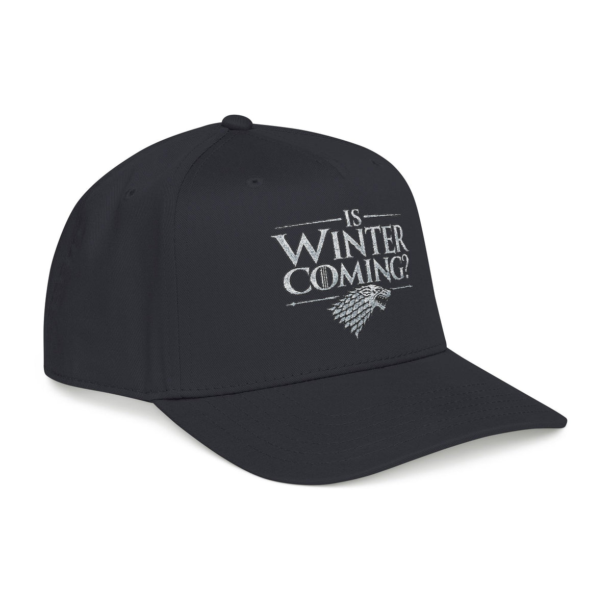 Winter is Coming Stark - OTTO Baseball Hat