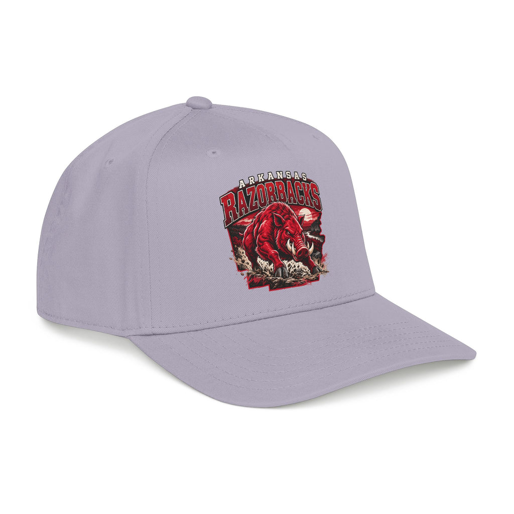 Arkansas Razorbacks State Pride - OTTO Baseball Hat