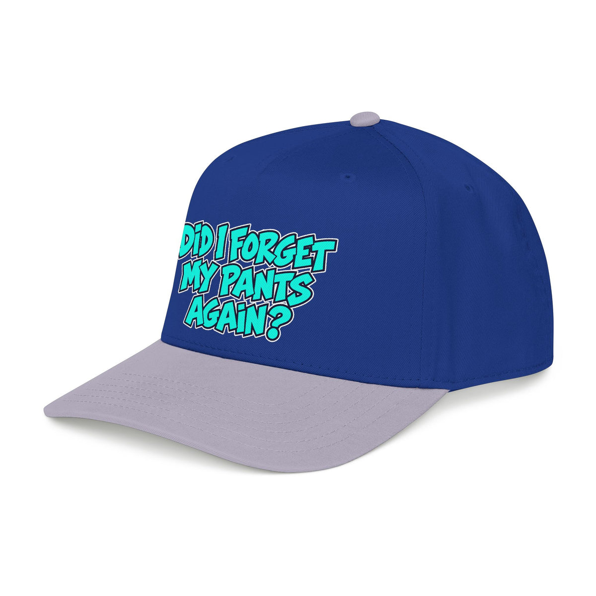 Did I Forget My Pants Again - OTTO Baseball Hat