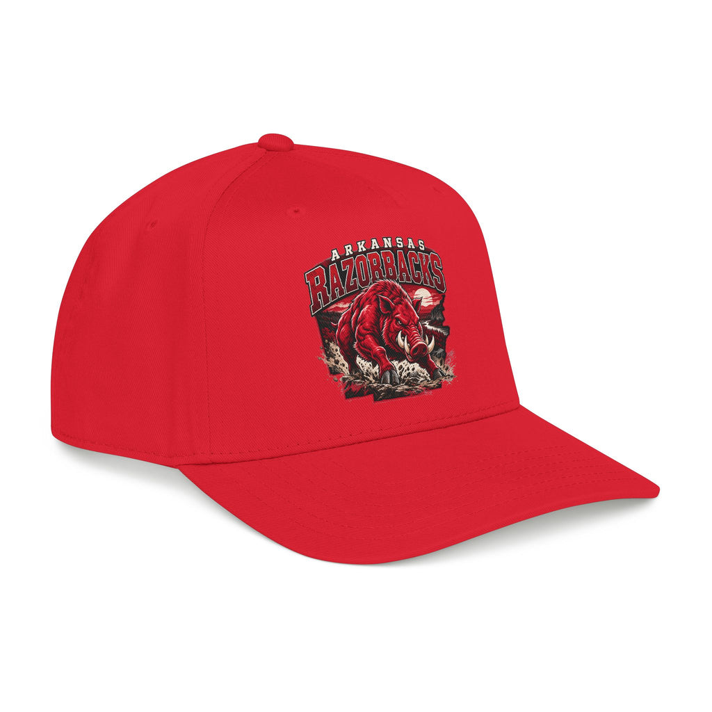 Arkansas Razorbacks State Pride - OTTO Baseball Hat