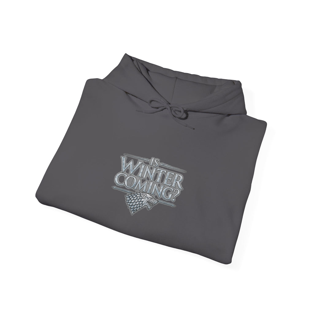 Winter is Coming Stark - Hoodie