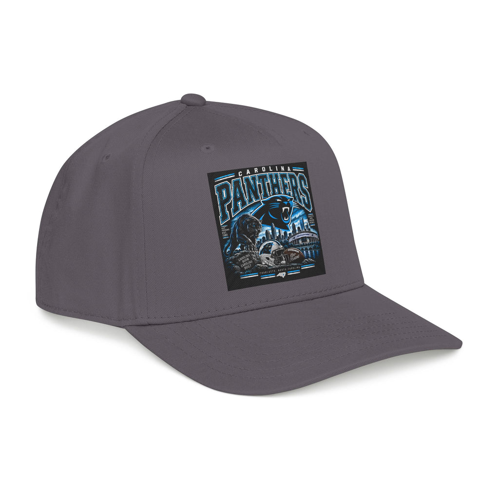Carolina Panthers - OTTO Baseball Hat