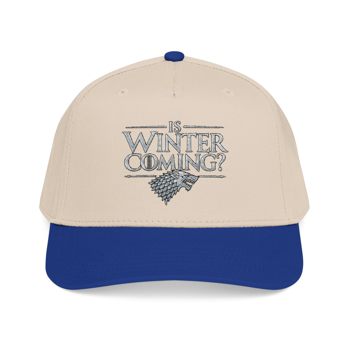 Winter is Coming Stark - OTTO Baseball Hat