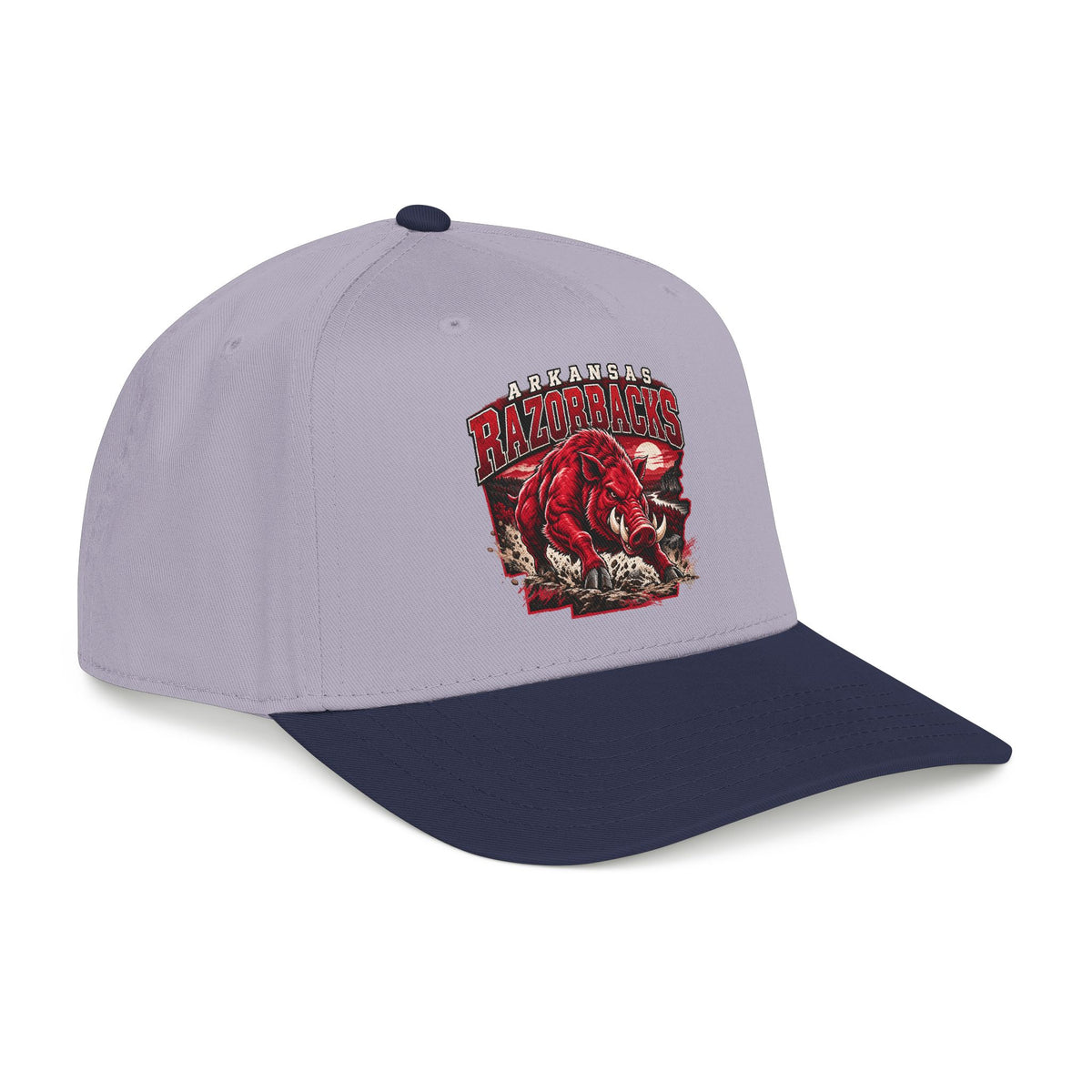 Arkansas Razorbacks State Pride - OTTO Baseball Hat