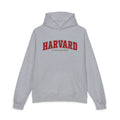Harvard - I Never Went There - Hoodie