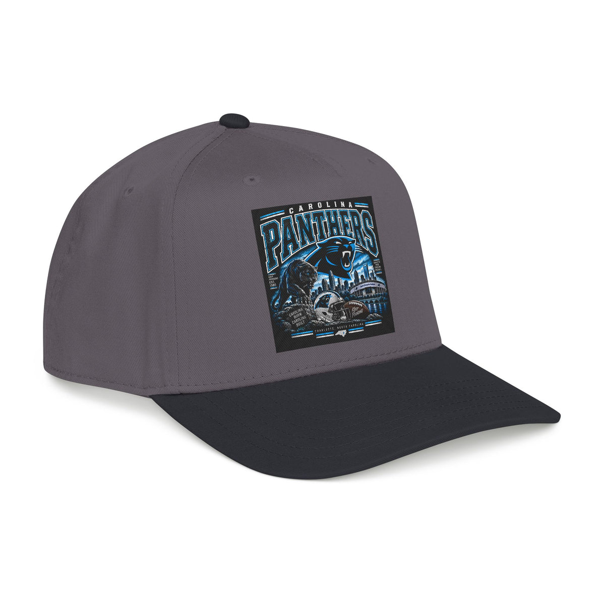 Carolina Panthers - OTTO Baseball Hat