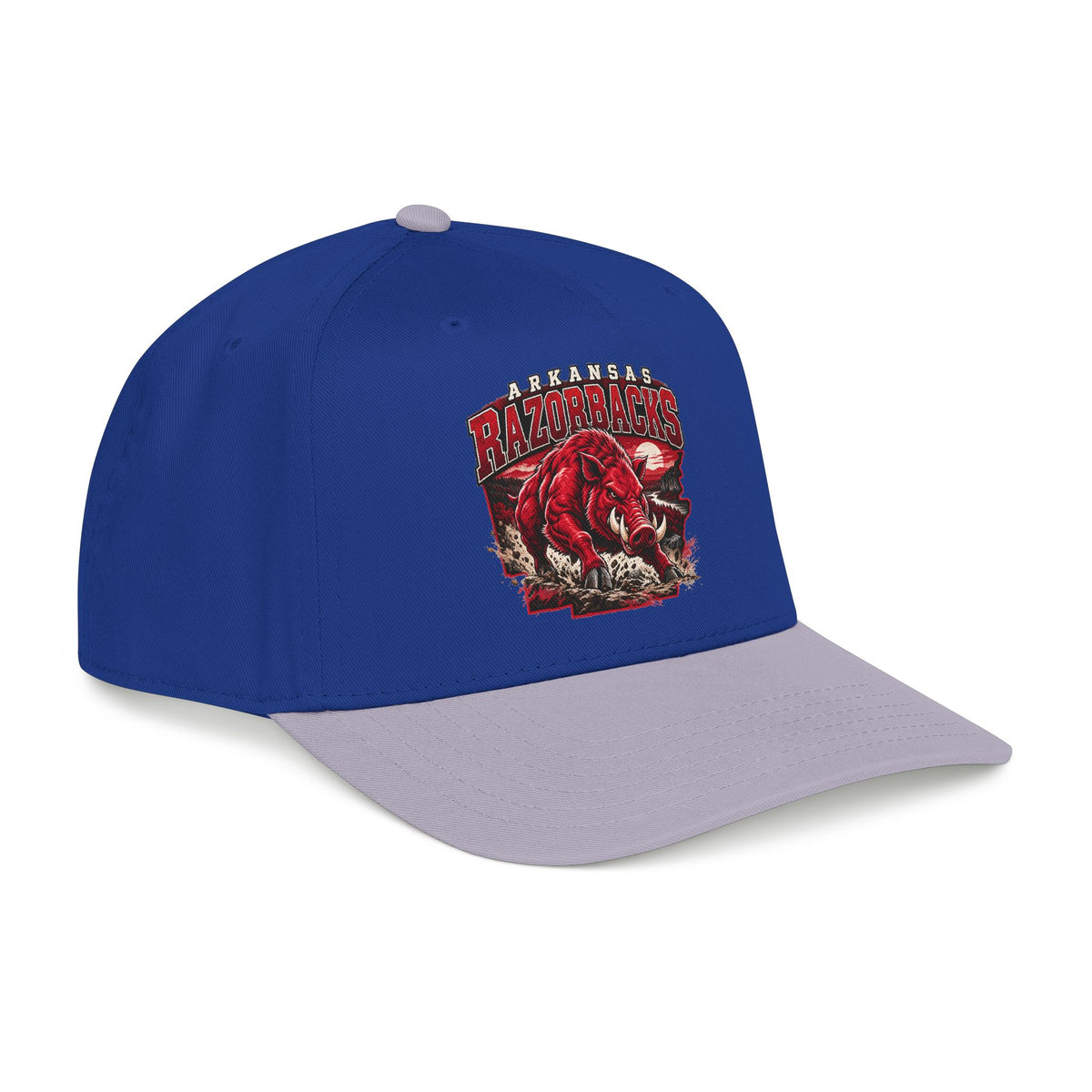 Arkansas Razorbacks State Pride - OTTO Baseball Hat