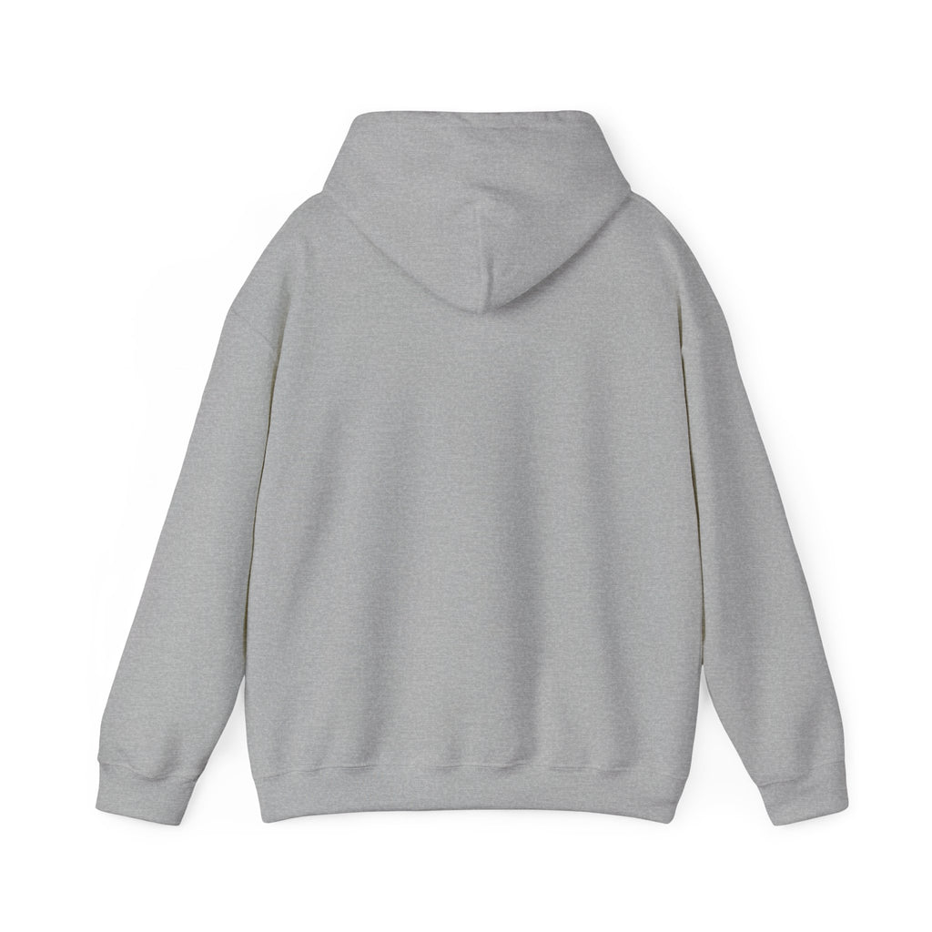 U.S. Air Force Emblem - Hoodie
