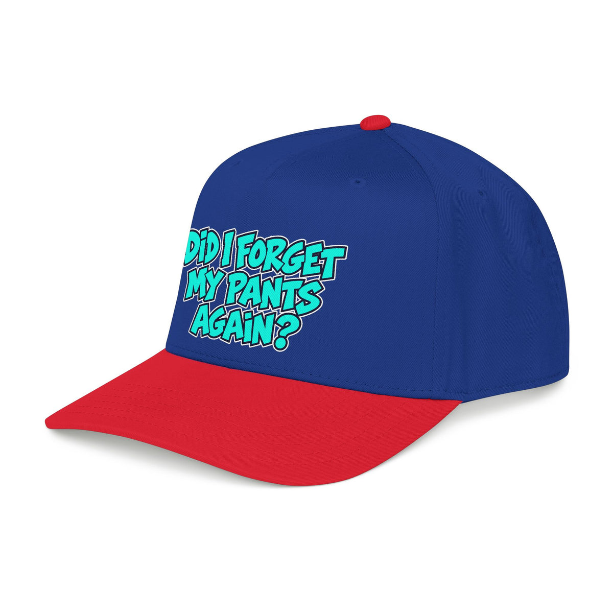 Did I Forget My Pants Again - OTTO Baseball Hat