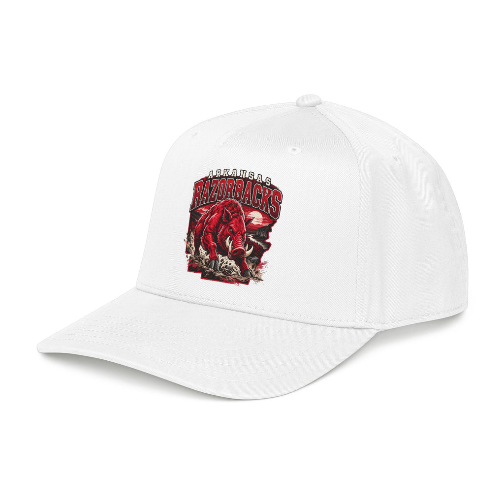 Arkansas Razorbacks State Pride - OTTO Baseball Hat