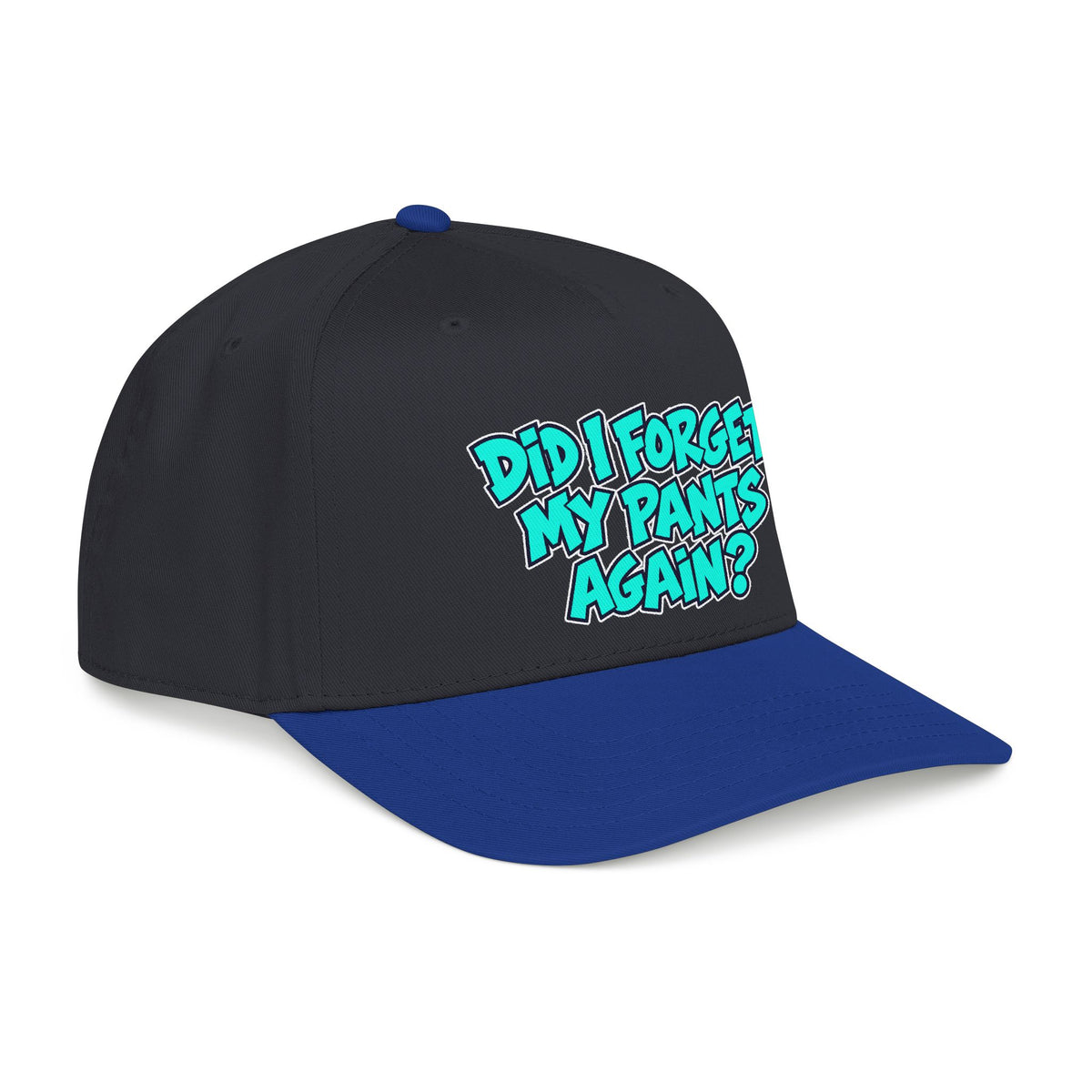 Did I Forget My Pants Again - OTTO Baseball Hat