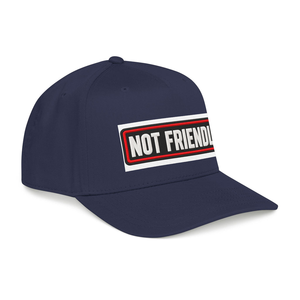 Not Friendly - Service Dog Patch - OTTO Baseball Hat