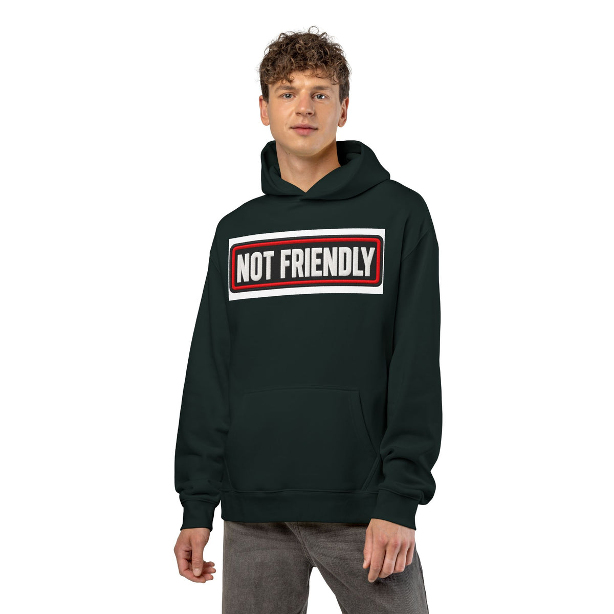 Not Friendly - Service Dog Patch - Hoodie