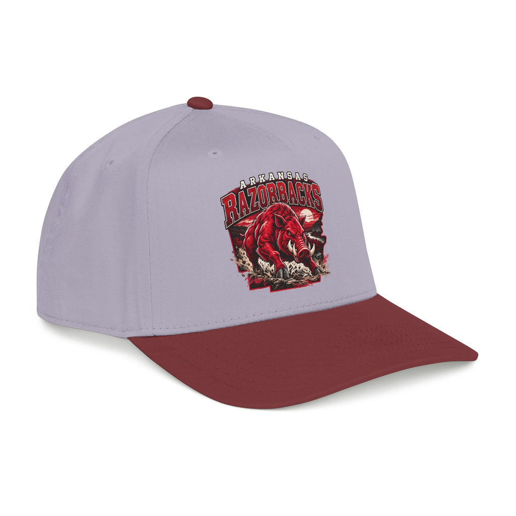 Arkansas Razorbacks State Pride - OTTO Baseball Hat