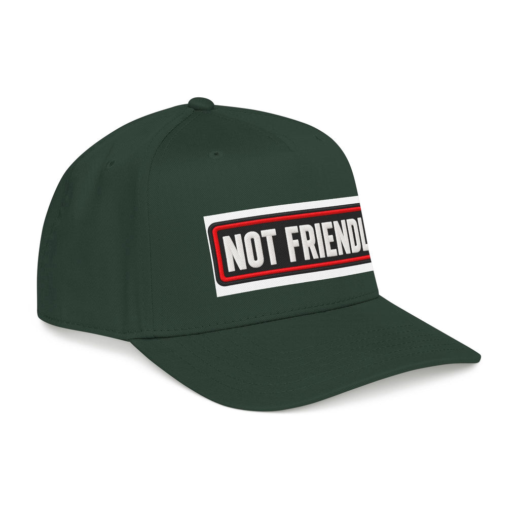 Not Friendly - Service Dog Patch - OTTO Baseball Hat
