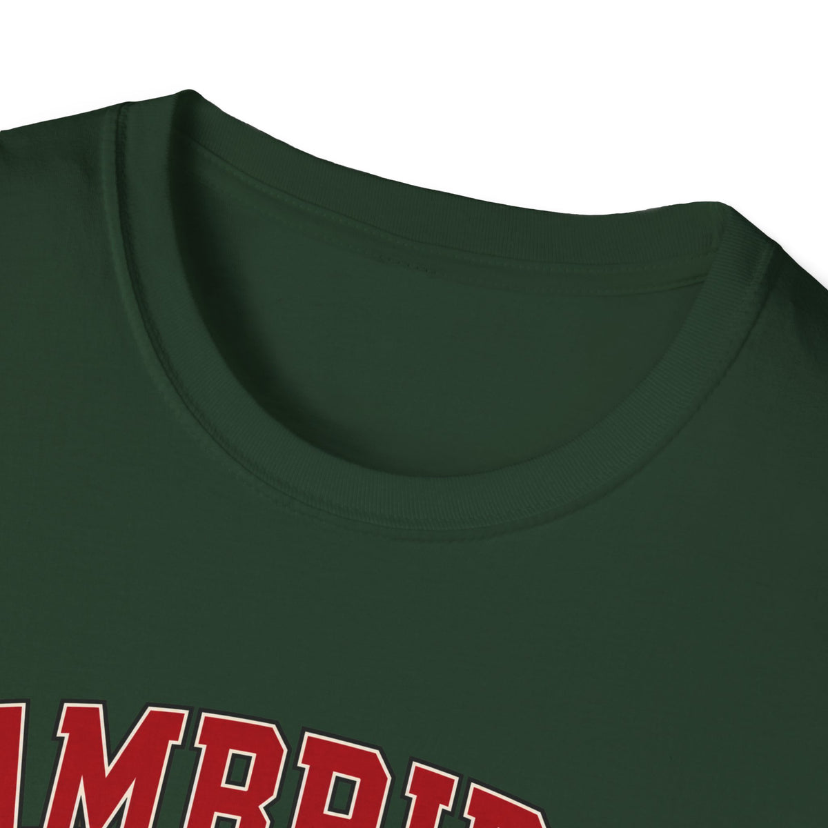 Cambridge Community College - Classic Tee