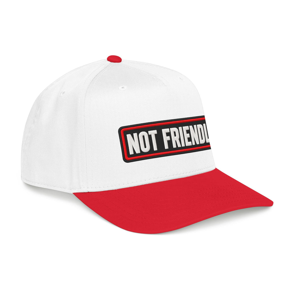 Not Friendly - Service Dog Patch - OTTO Baseball Hat