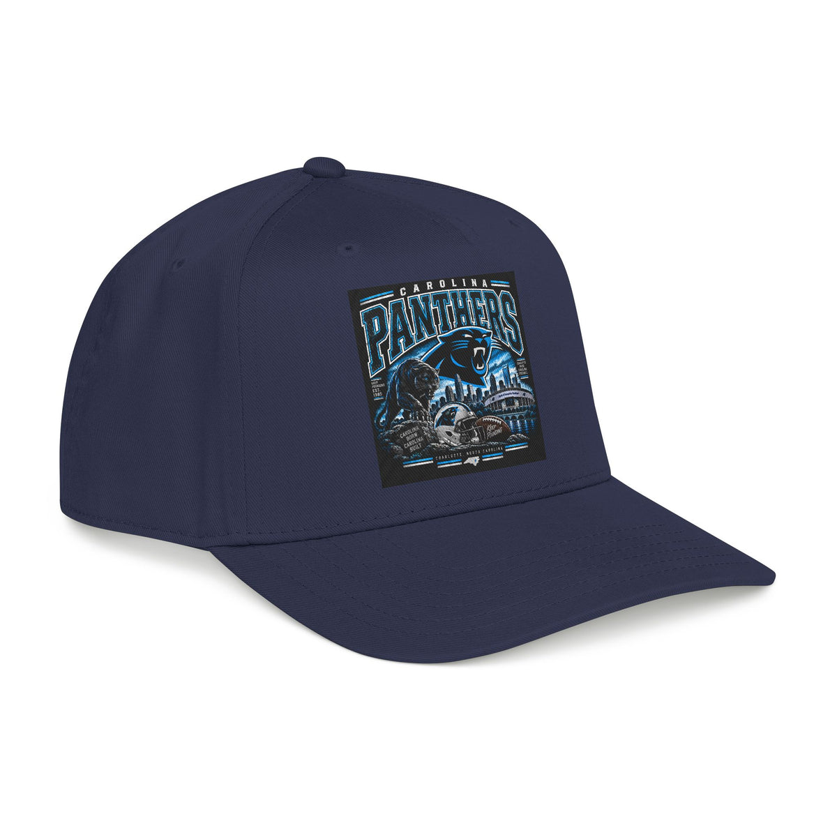 Carolina Panthers - OTTO Baseball Hat
