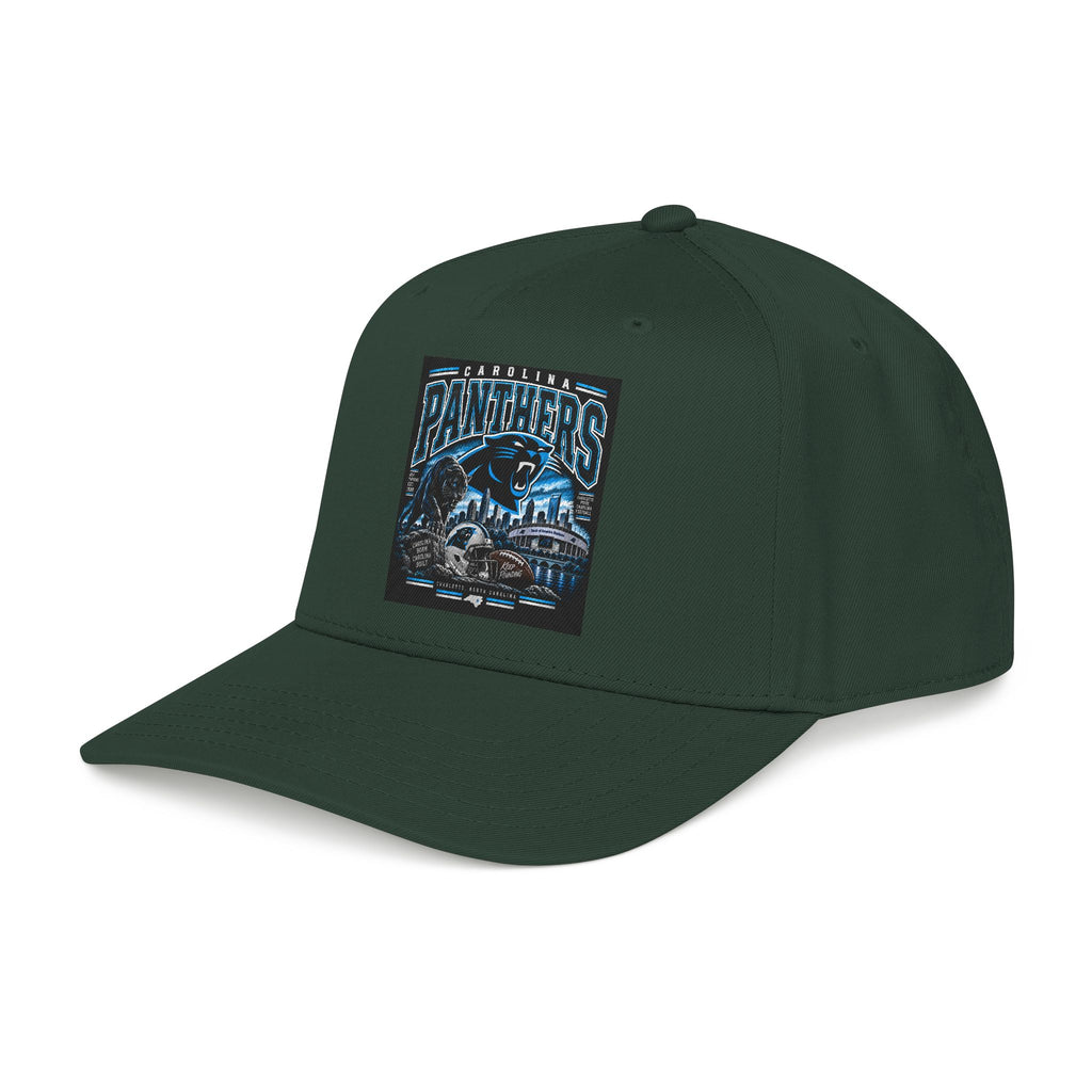 Carolina Panthers - OTTO Baseball Hat
