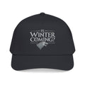 Winter is Coming Stark - OTTO Baseball Hat