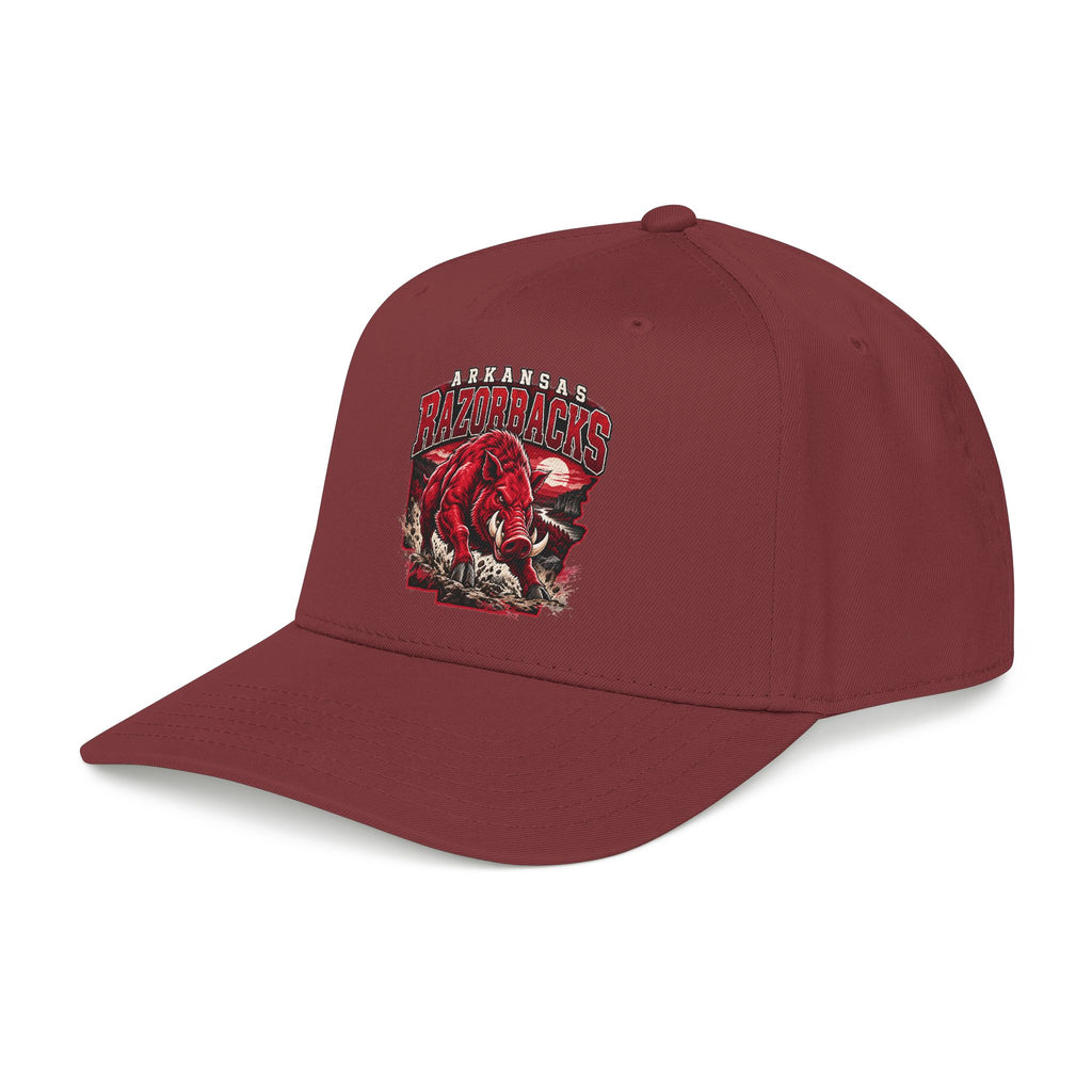 Arkansas Razorbacks State Pride - OTTO Baseball Hat