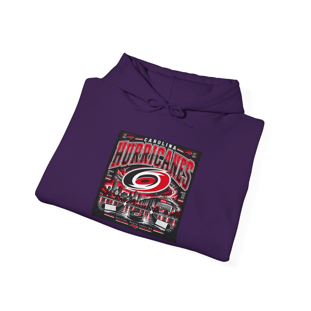 Carolina Hurricanes Skyline - Hoodie