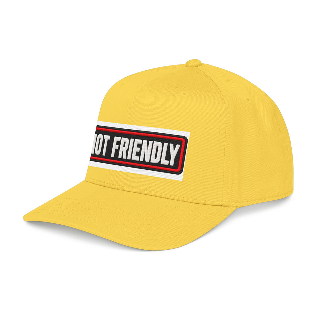 Not Friendly - Service Dog Patch - OTTO Baseball Hat