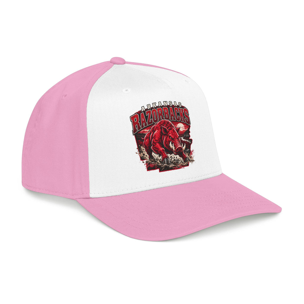 Arkansas Razorbacks State Pride - OTTO Baseball Hat