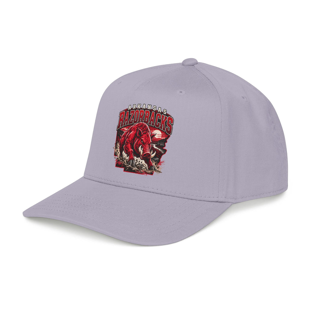 Arkansas Razorbacks State Pride - OTTO Baseball Hat