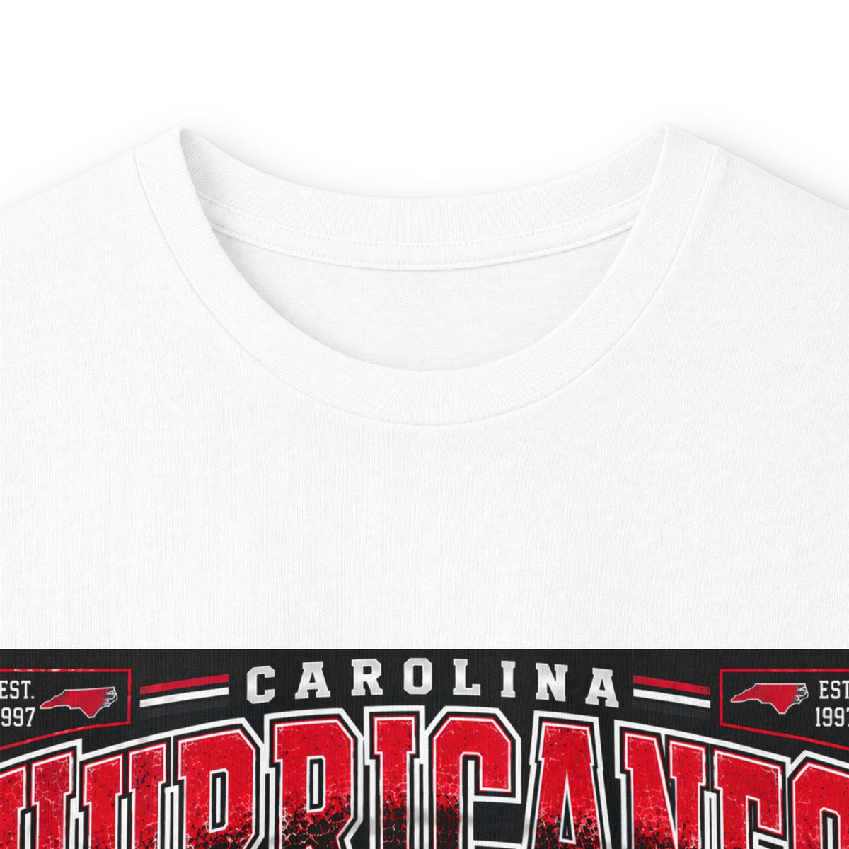 Carolina Hurricanes Skyline - Unisex Ultra Cotton Long Sleeve Tee