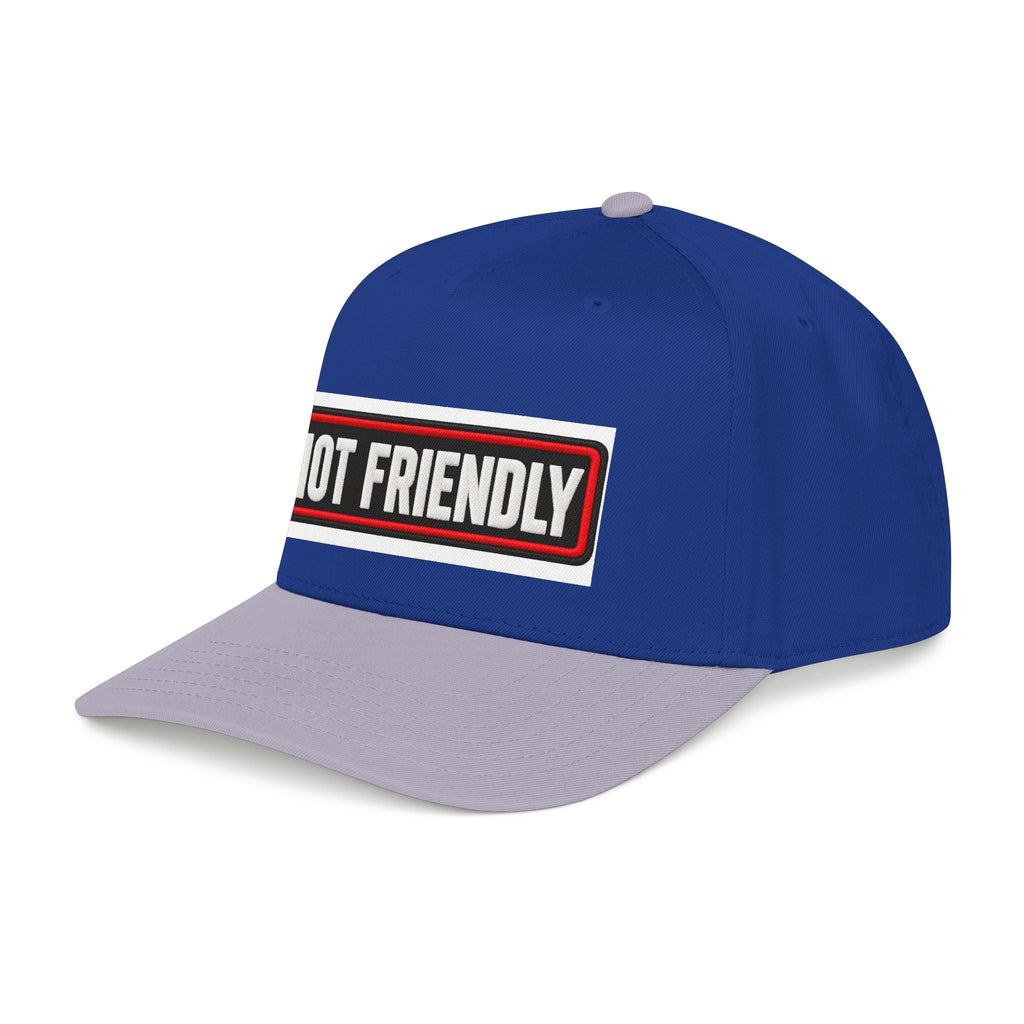 Not Friendly - Service Dog Patch - OTTO Baseball Hat