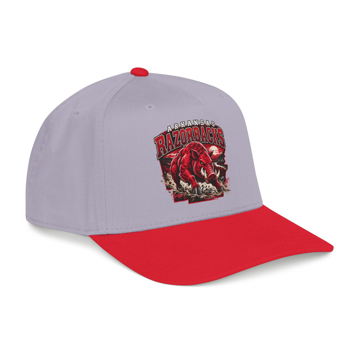 Arkansas Razorbacks State Pride - OTTO Baseball Hat
