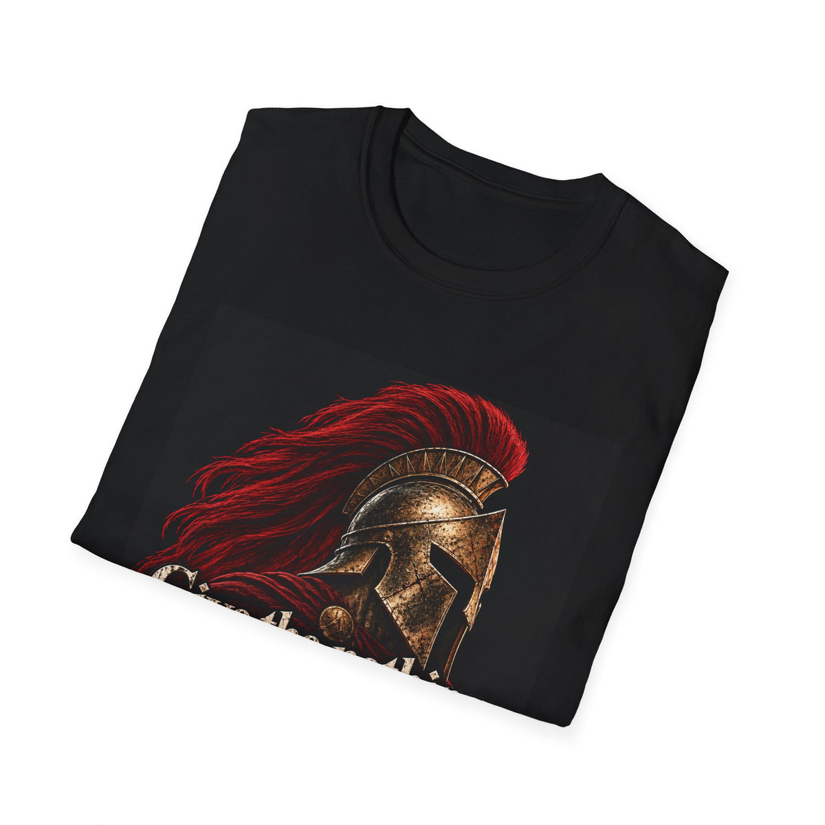 Spartan Helmet - Take Everything - Classic Tee