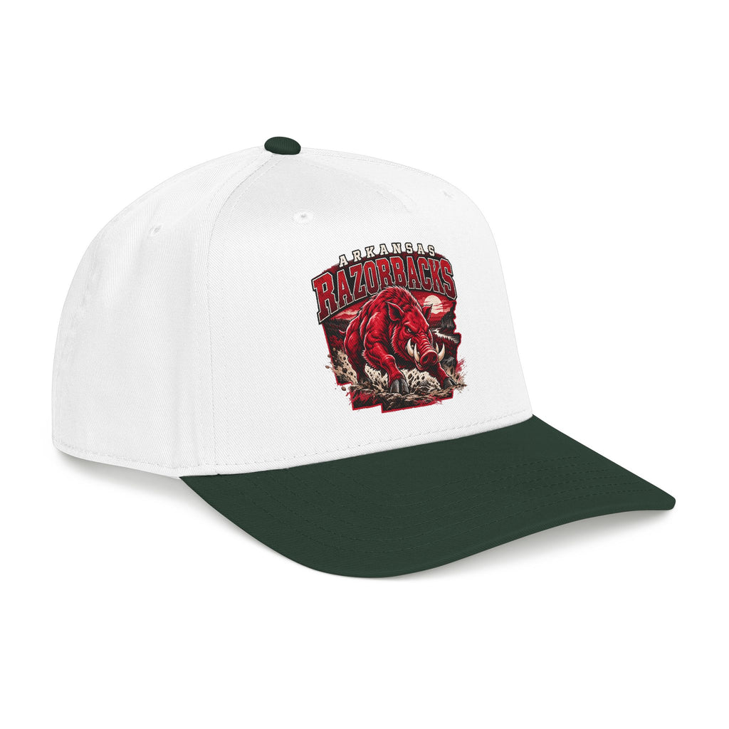 Arkansas Razorbacks State Pride - OTTO Baseball Hat