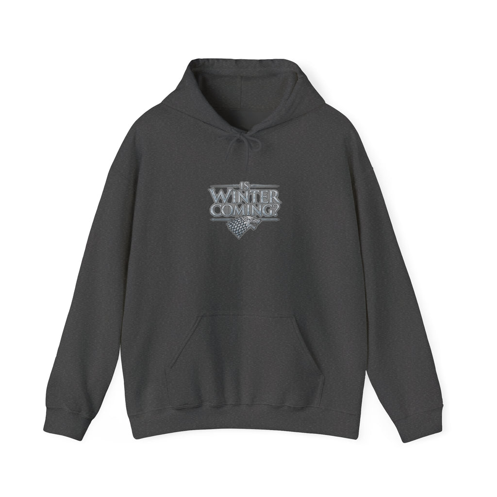 Winter is Coming Stark - Hoodie